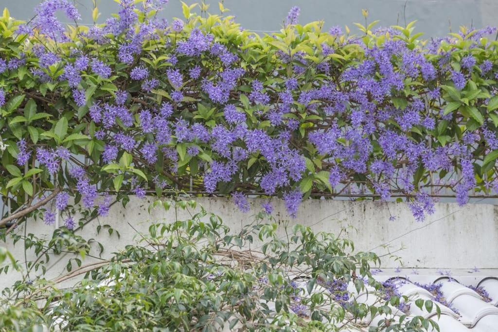 Morada Das Flores Porto Alegre Exteriör bild