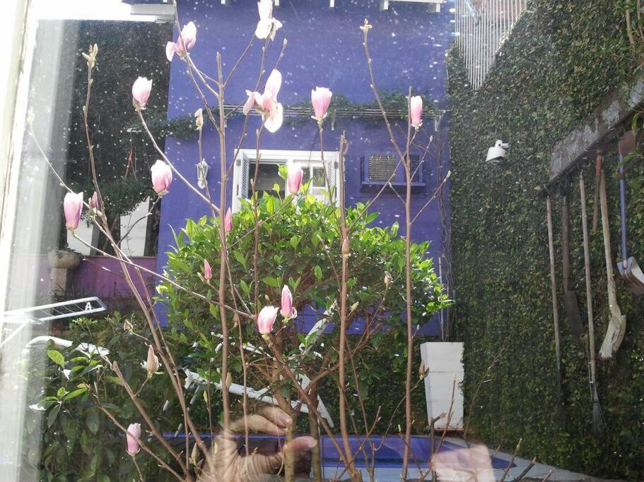 Morada Das Flores Porto Alegre Exteriör bild